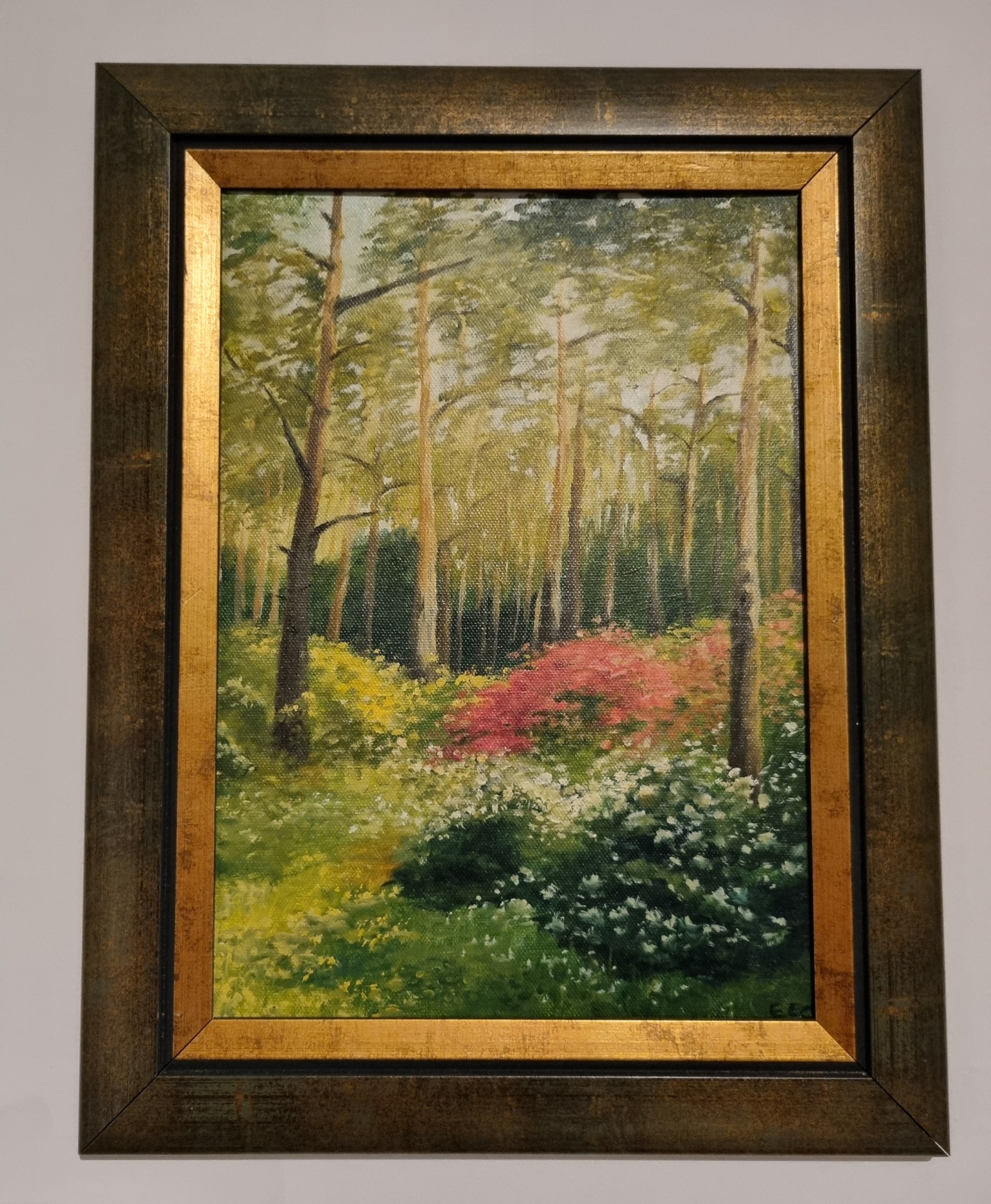 Jeli arborétum (saját fotó alapján)